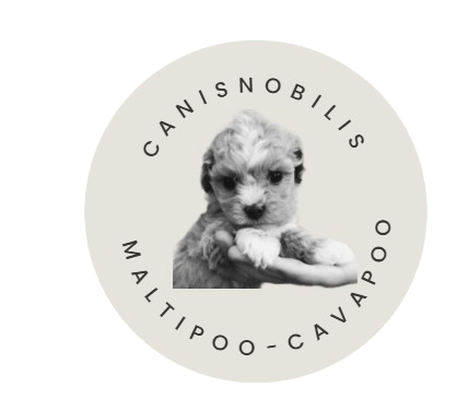 Header CanisNobilis