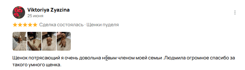 Отзывы на сайте